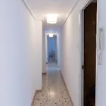 Teniente Ruiz 27 Апартаменты *